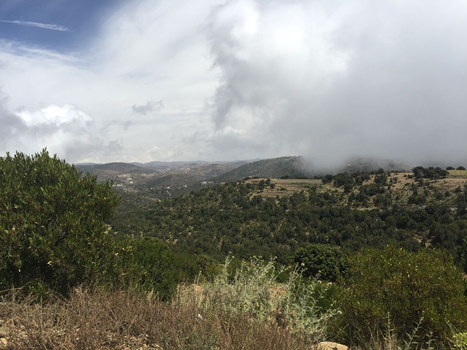 iPhone 6 back camera 4.15mm f/2.2 sample photo. Aseer, abha, souda photography