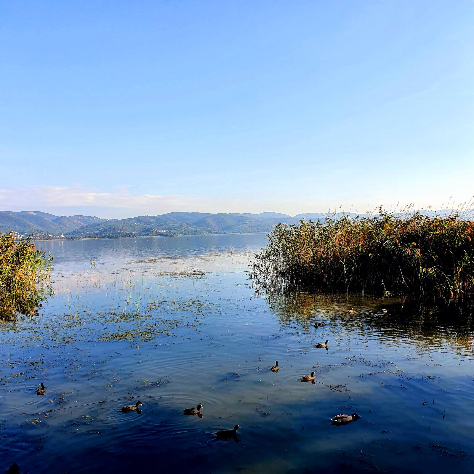 Samsung SM-G975F sample photo. Lake, waters, water photography
