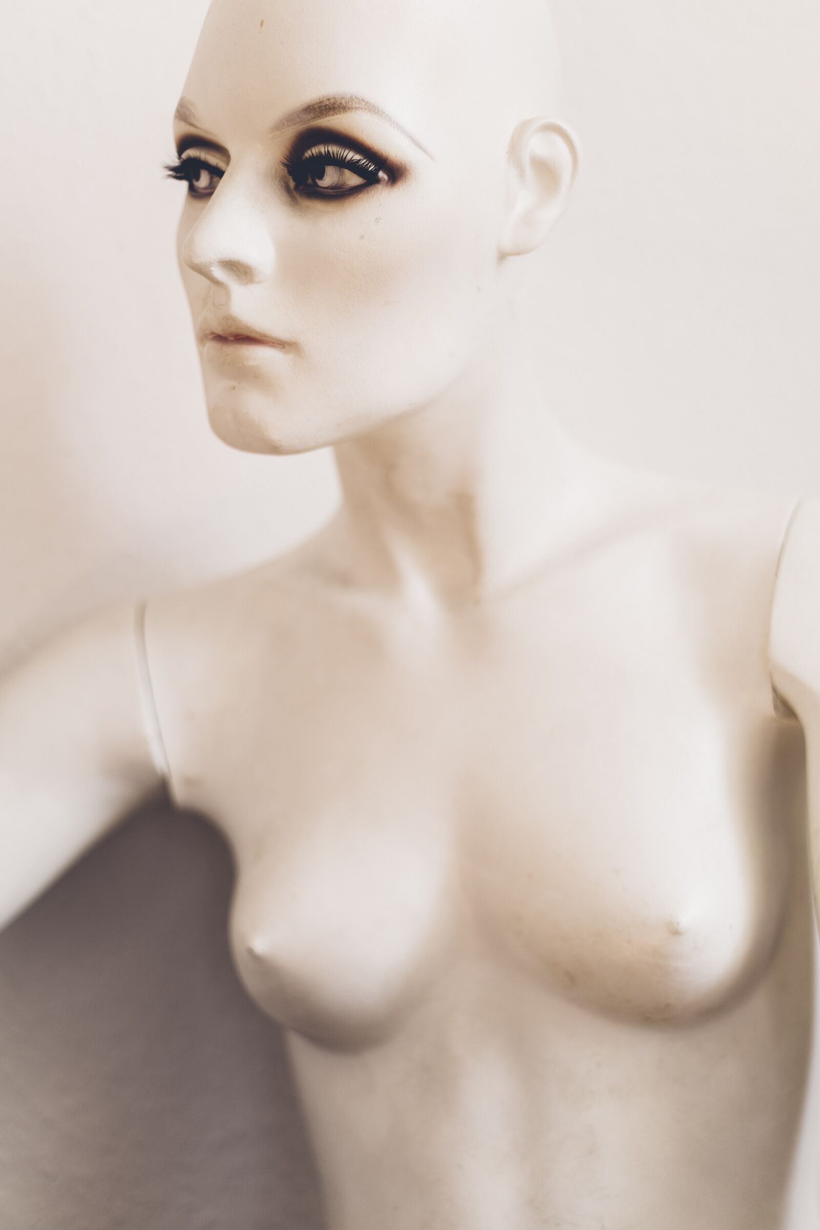Canon EOS 5D Mark III sample photo. Window, display dummy, decoration photography