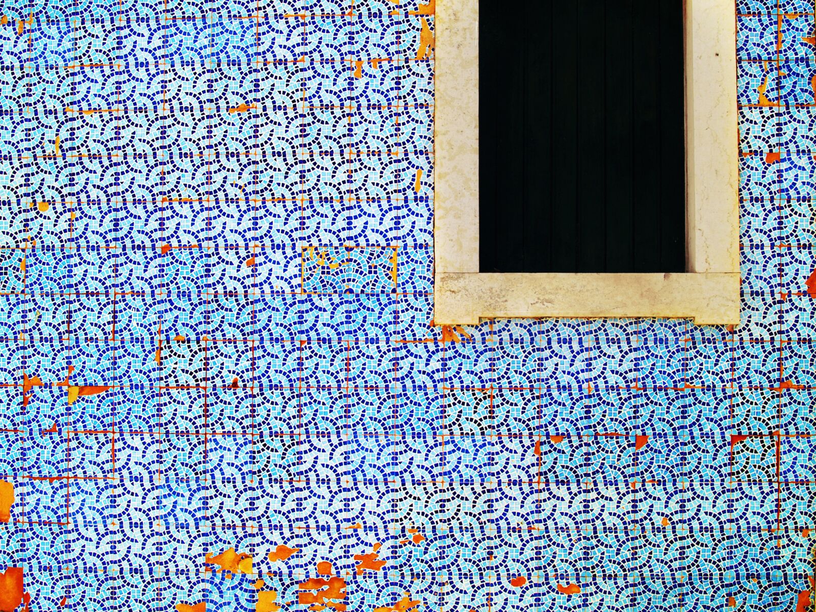 Olympus E-500 (EVOLT E-500) sample photo. Texture, background, pattern photography
