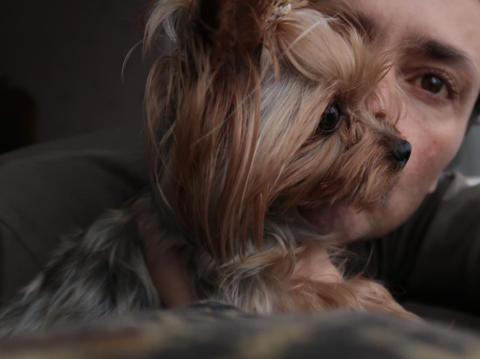 Canon PowerShot G7 X Mark II sample photo. Dog, kiss terrier, little photography