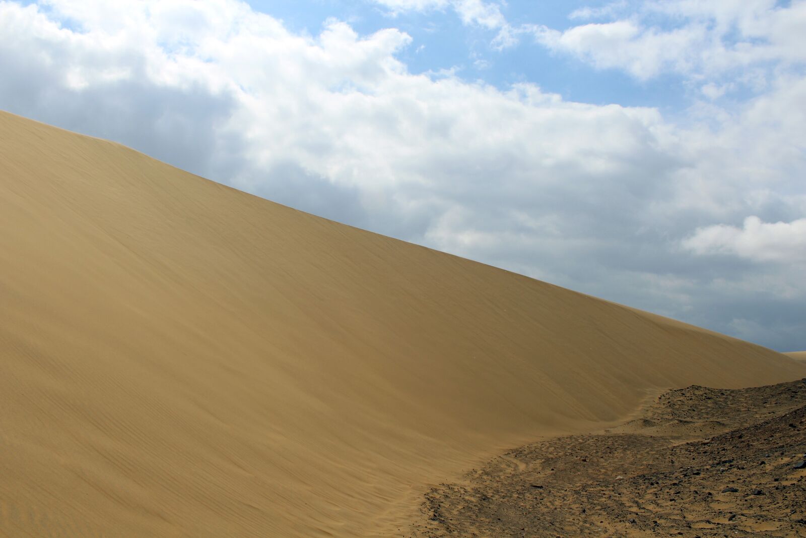 Canon EOS 600D (Rebel EOS T3i / EOS Kiss X5) sample photo. Dunes, chorus, sand photography