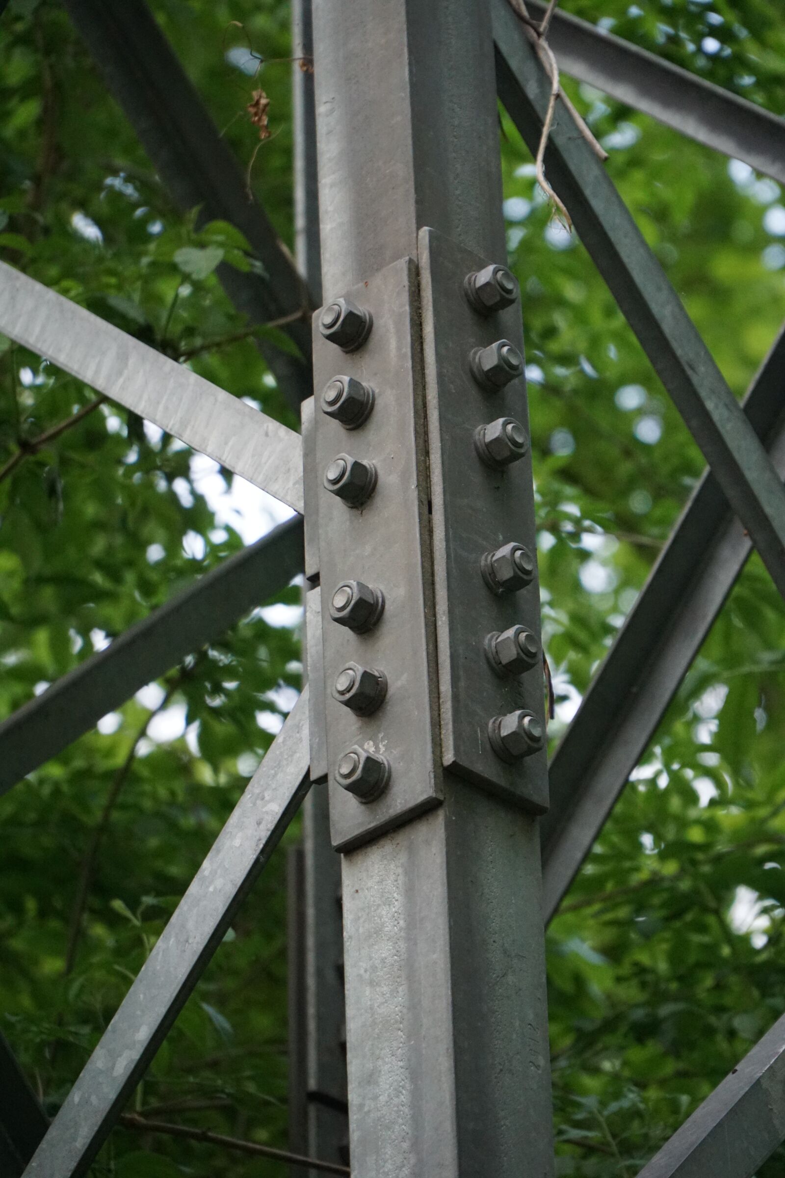 Sony a6000 + Sony E PZ 18-105mm F4 G OSS sample photo. Connection, gland, screw photography