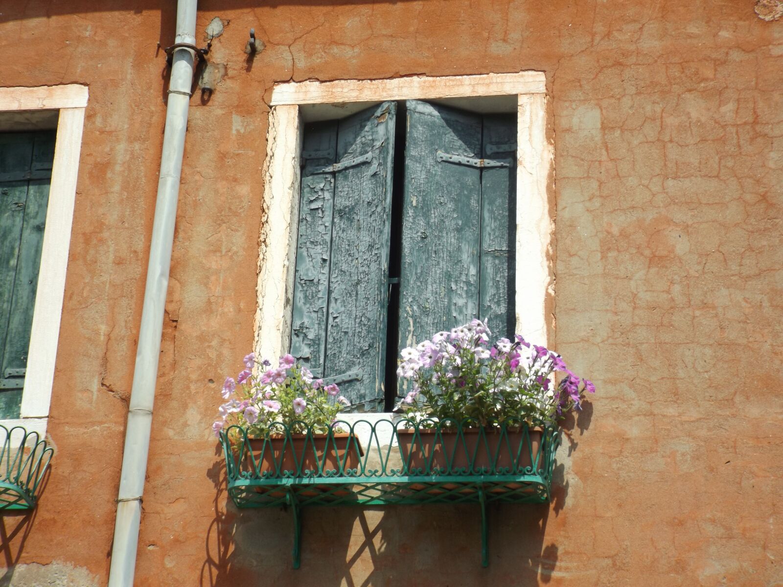 Fujifilm FinePix S4800 sample photo. Venice, window, flowers photography