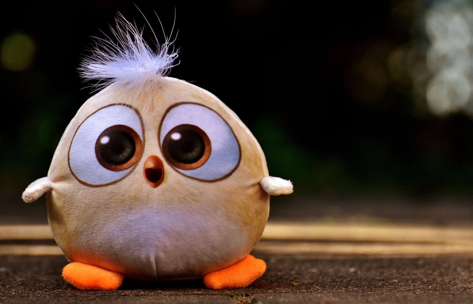 Nikon D7200 sample photo. Bird, soft toy, funny photography