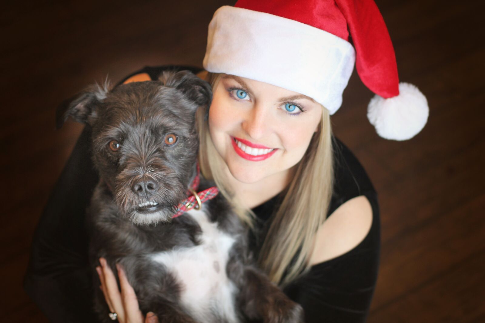 Canon EOS 1300D (EOS Rebel T6 / EOS Kiss X80) sample photo. Christmas, pup, dog photography