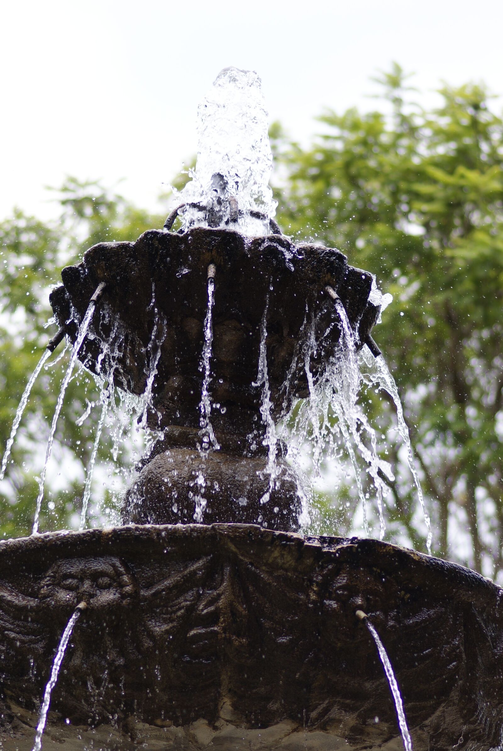 Sony Alpha DSLR-A200 sample photo. Source, water, jets photography