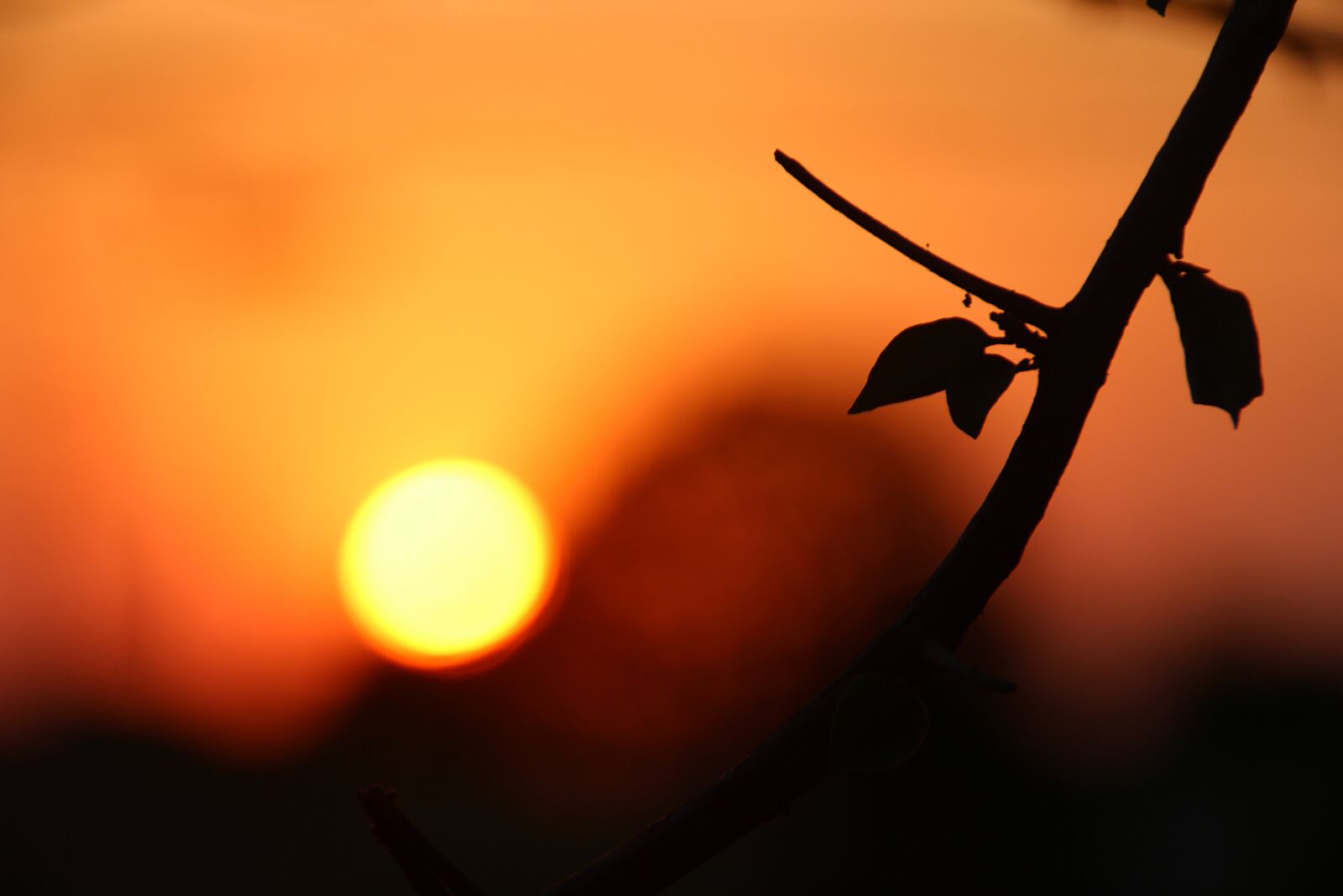 Canon EOS 600D (Rebel EOS T3i / EOS Kiss X5) sample photo. Sunset, by sunsets, eventide photography