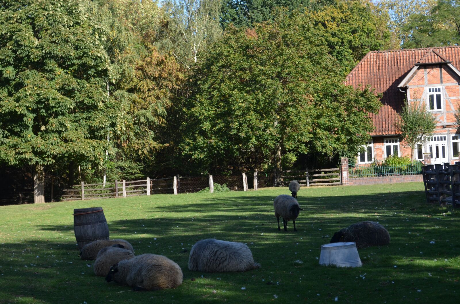 Nikon D5100 sample photo. Farm, animals, meadow photography