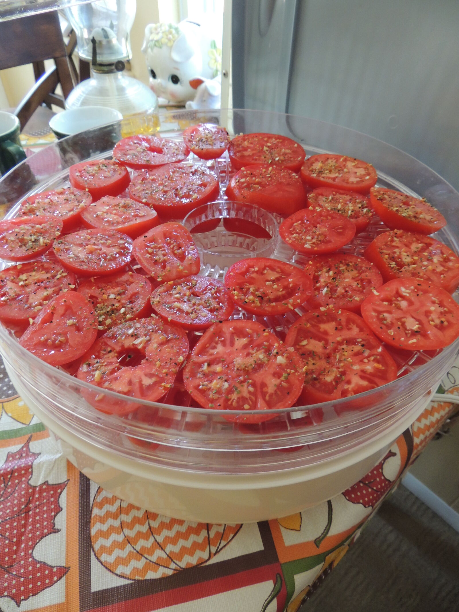 Nikon Coolpix P510 sample photo. Dehydrated, tomatoes, dehydrator, dried photography