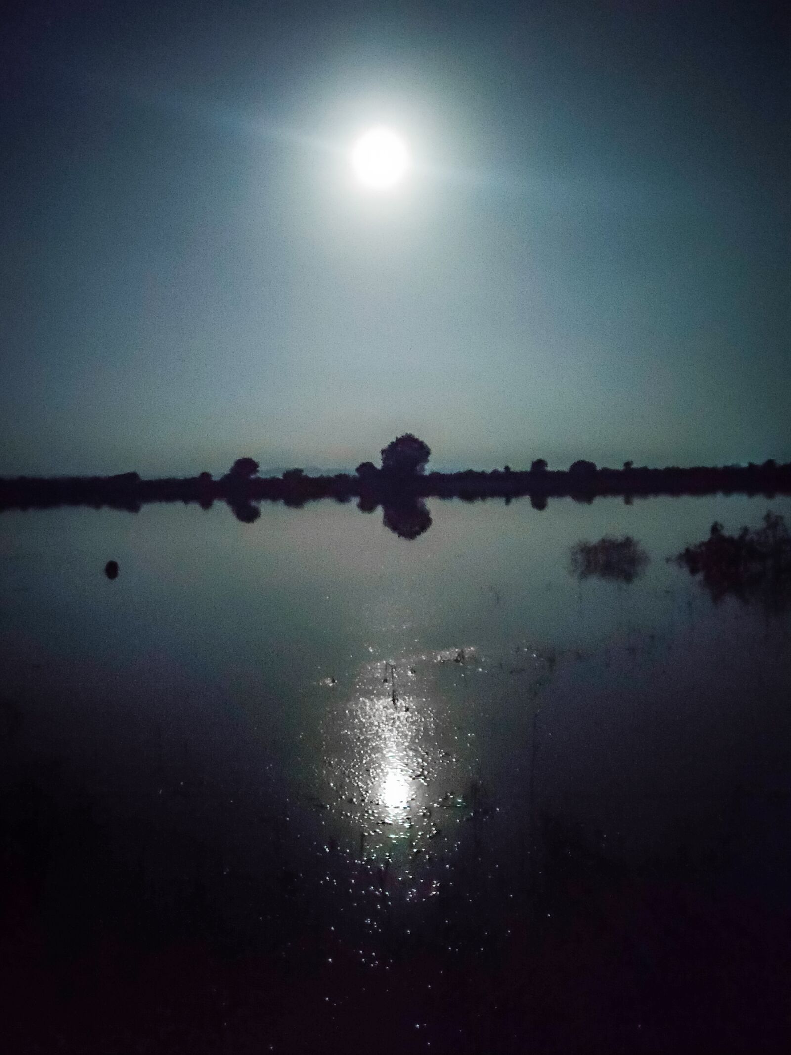 Realme XT sample photo. Night, indian, mobile photography