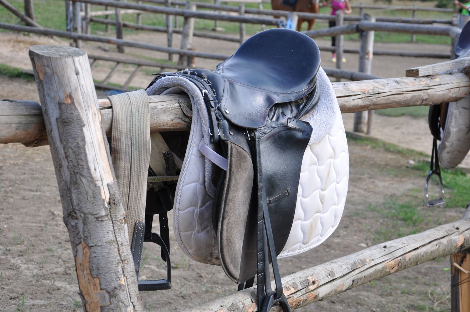 Nikon D90 sample photo. Horses, riding, saddle photography