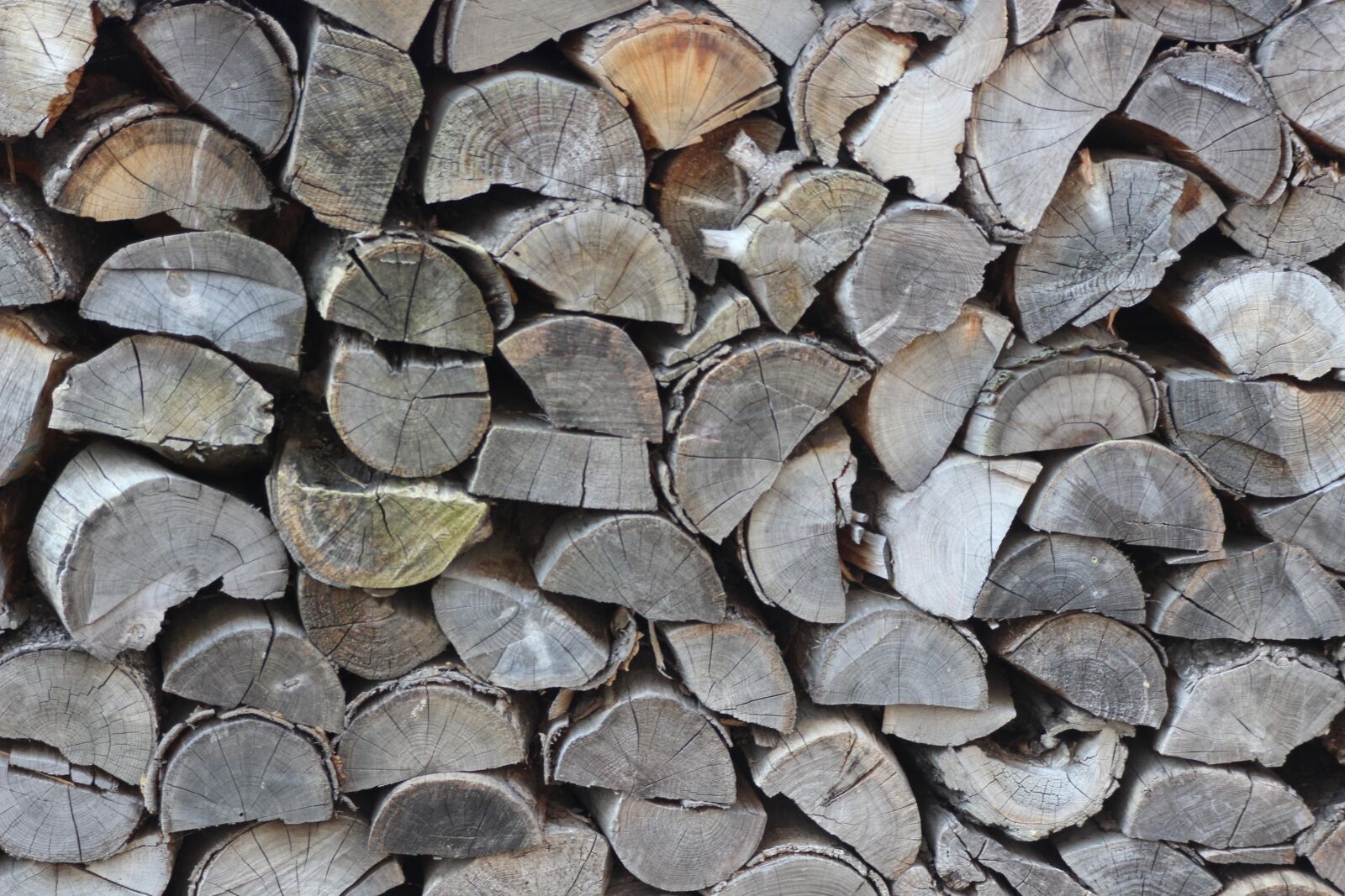 Canon EOS 600D (Rebel EOS T3i / EOS Kiss X5) sample photo. Background, wood, texture photography