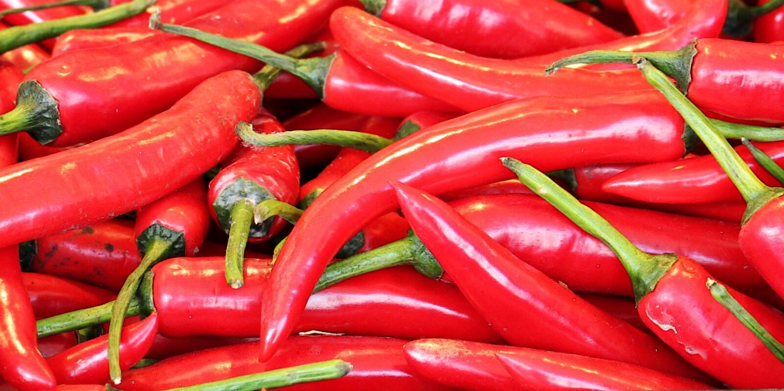 Canon EOS 550D (EOS Rebel T2i / EOS Kiss X4) sample photo. Chili, market, sharp photography