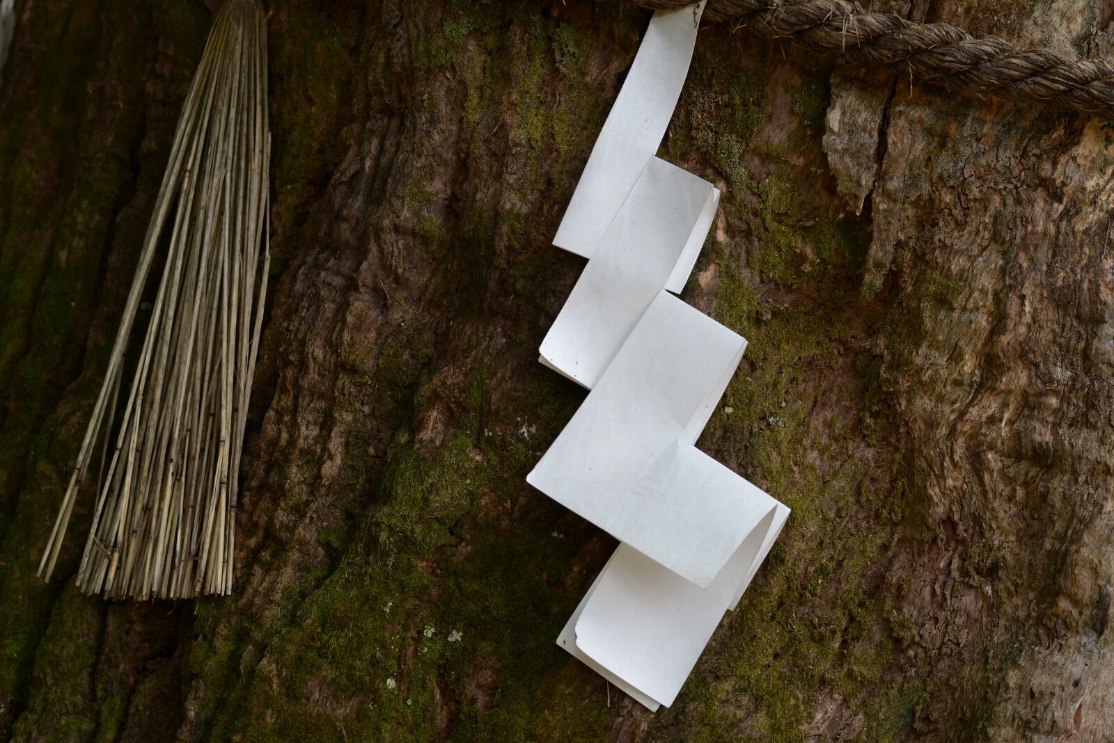 Nikon D600 sample photo. Japan, god, shrine photography