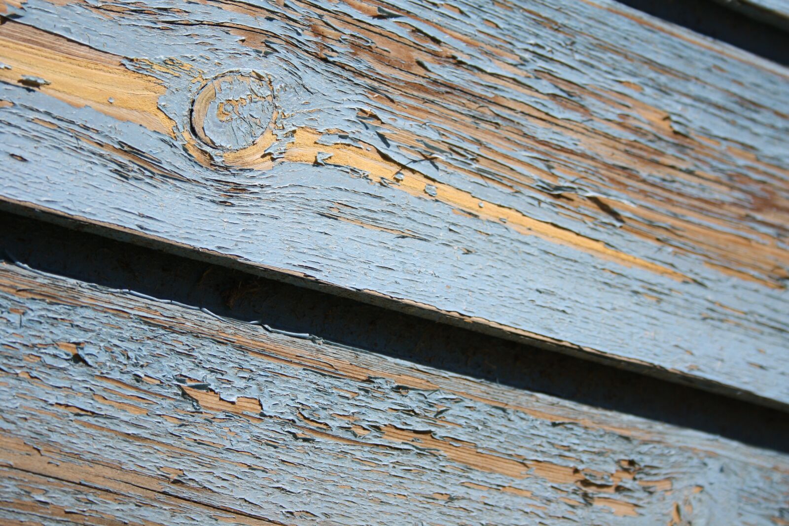 Canon EOS 1000D (EOS Digital Rebel XS / EOS Kiss F) sample photo. Wood, blue, texture photography
