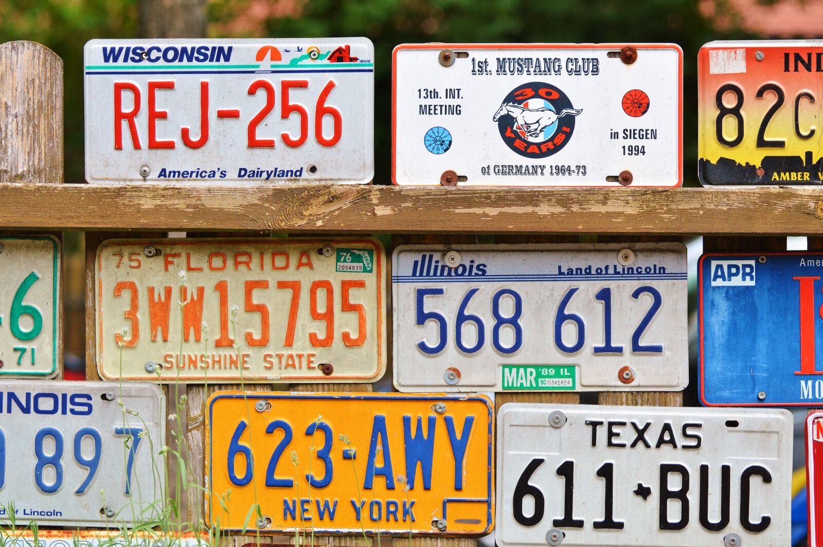 Nikon D3200 sample photo. License plate, car shield photography