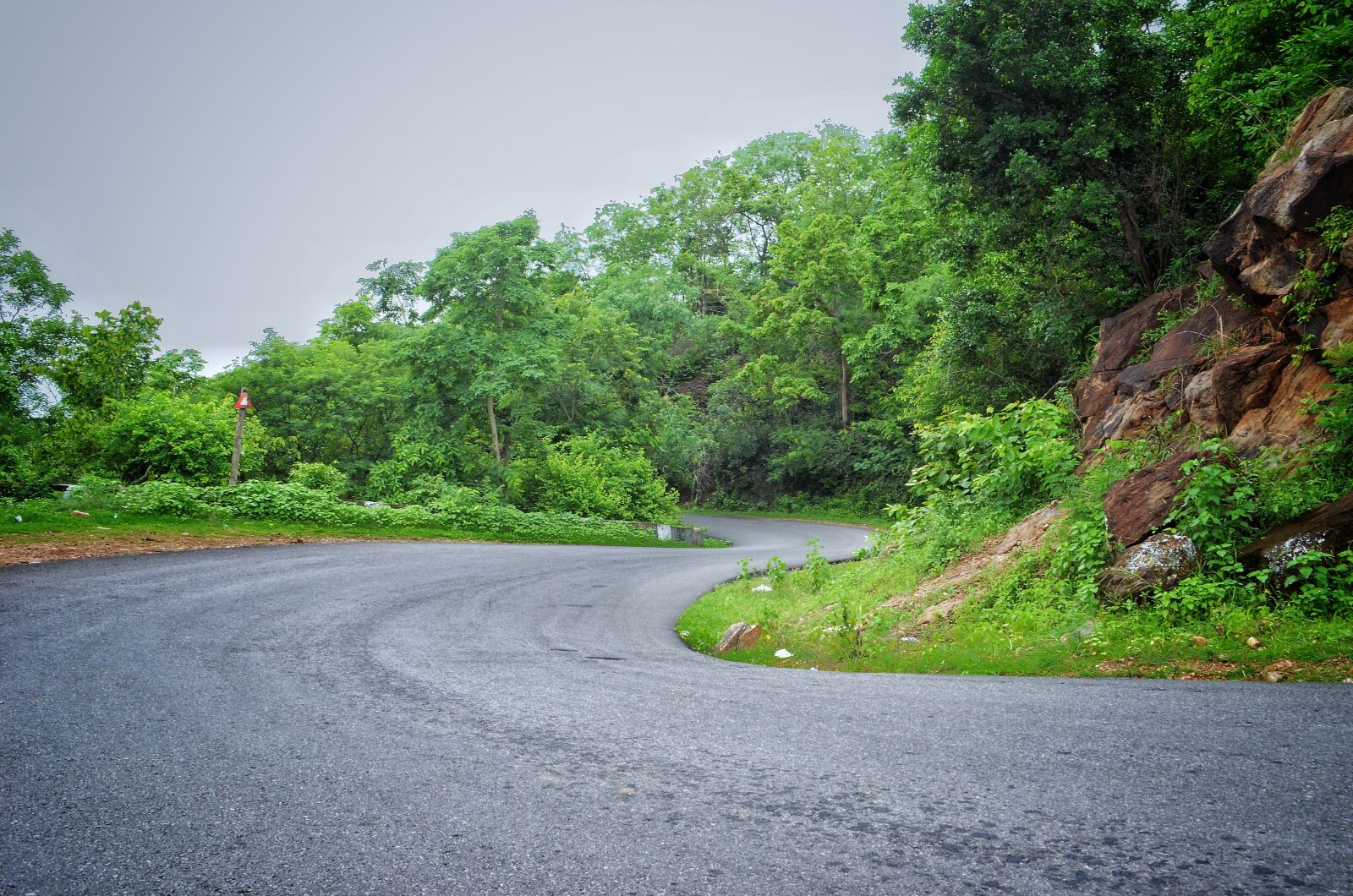 Nikon D5100 sample photo. Nature, tree, landscape photography
