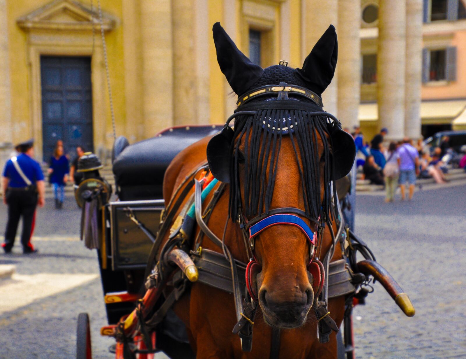 Nikon D90 sample photo. People, carriage, street photography