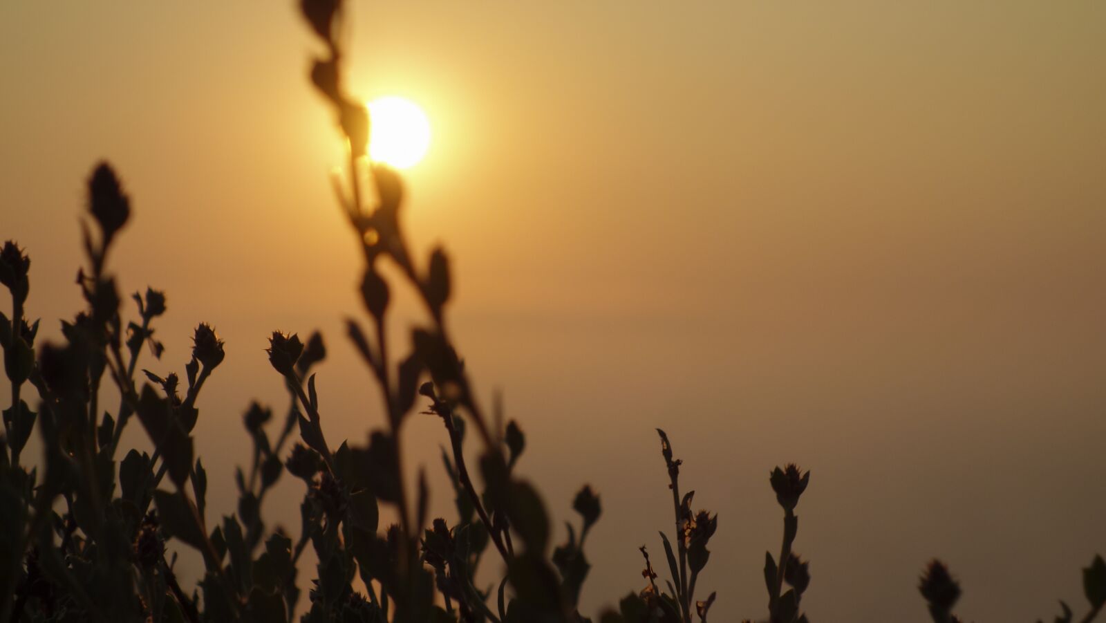 Sony Cyber-shot DSC-RX100 sample photo. Sunset, twilight, romantic photography