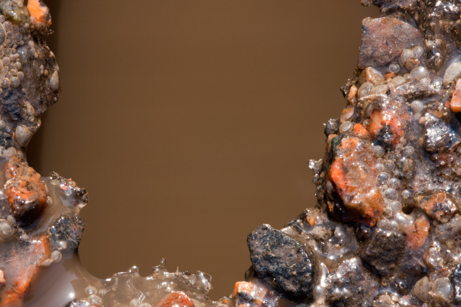 Canon EF 180mm F3.5L Macro USM sample photo
