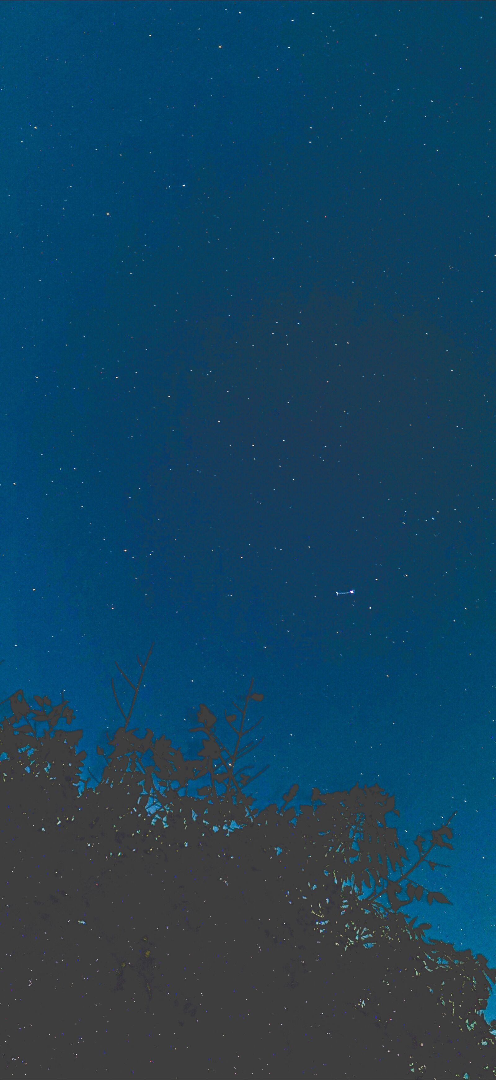 HUAWEI YAL-L41 sample photo