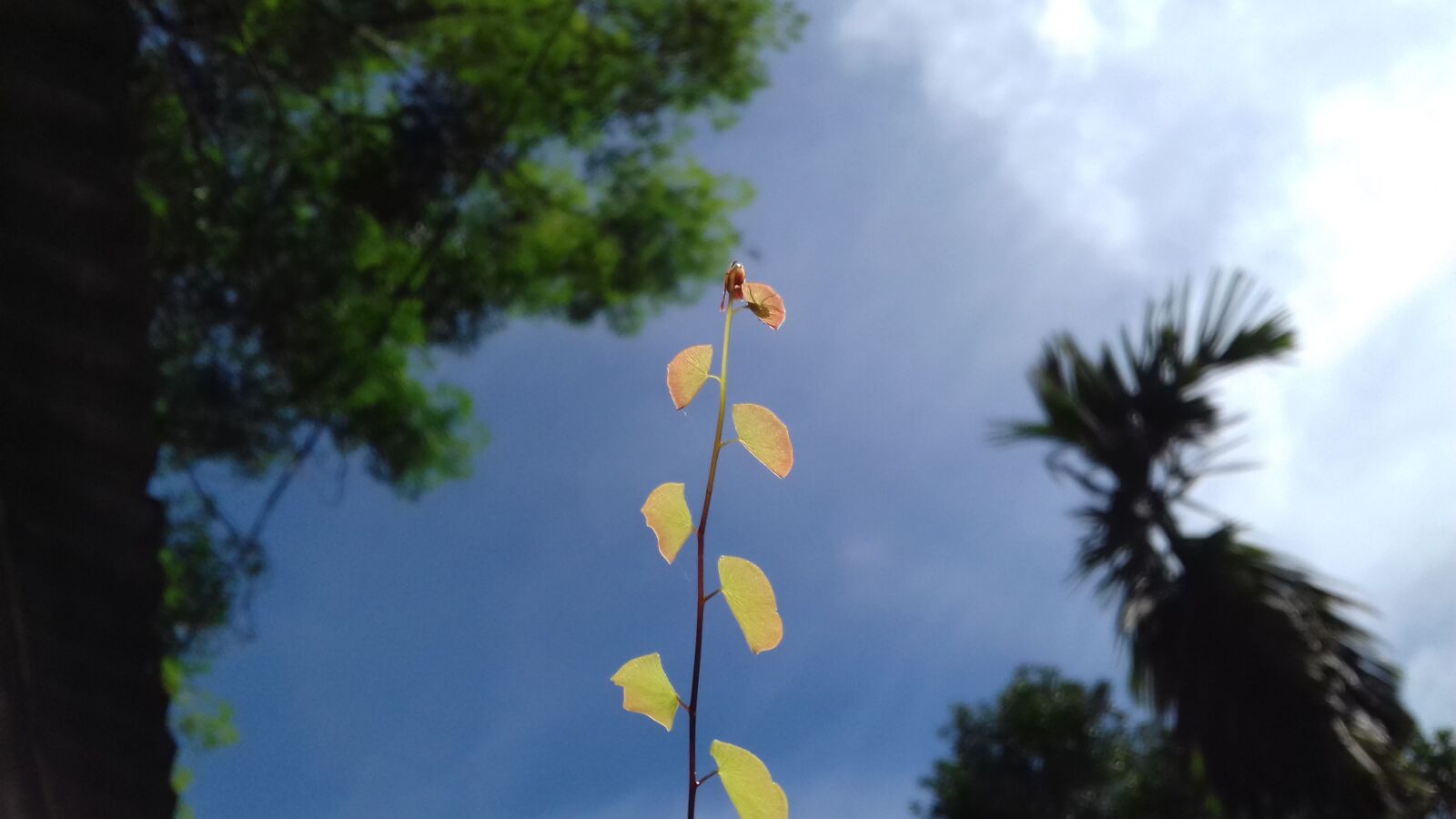 Samsung Galaxy J3(2016) sample photo