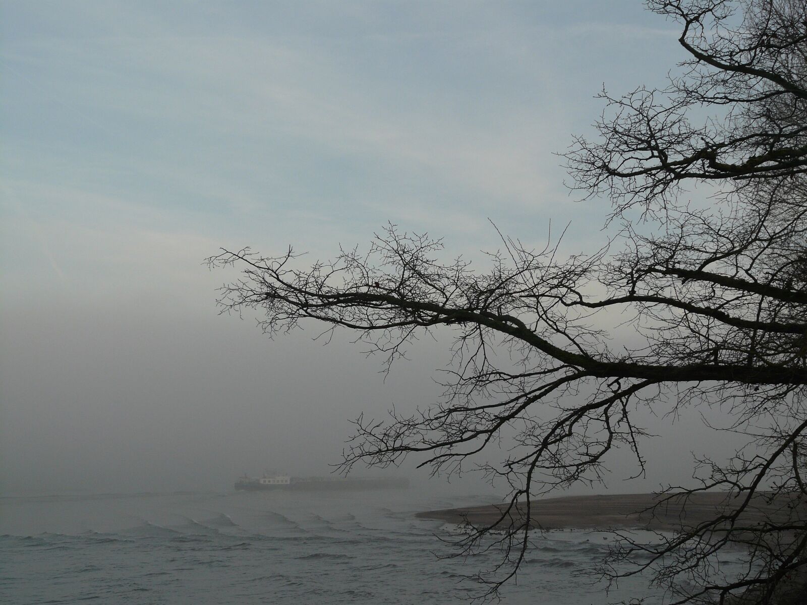 Panasonic DMC-FZ18 sample photo. Rhine, fog, riverside photography