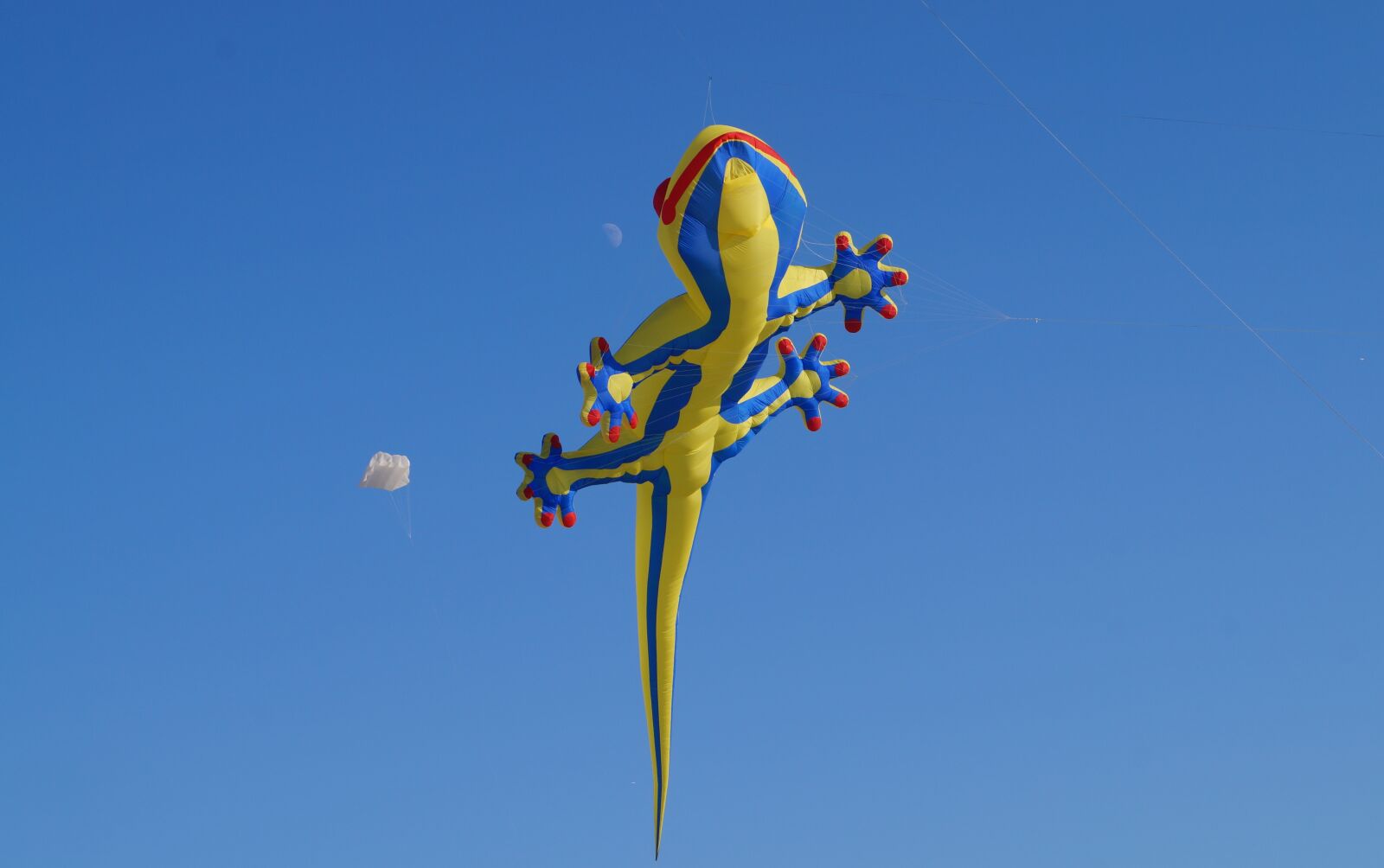 Sony DT 18-55mm F3.5-5.6 SAM II sample photo. Dragon, shackle dragon, kite photography