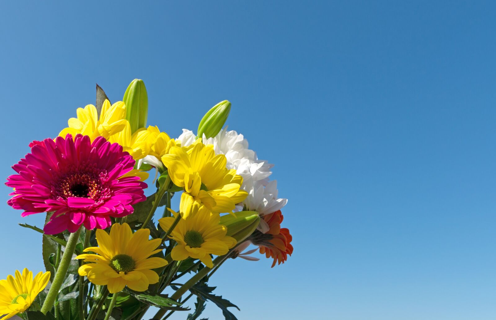 Nikon D800 sample photo. Bouquet of flowers, flowers photography