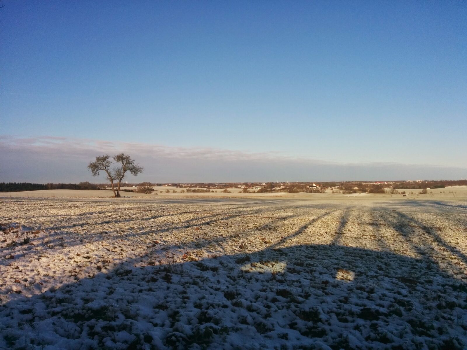 LG Nexus 5 sample photo. Winter, nature, cold photography
