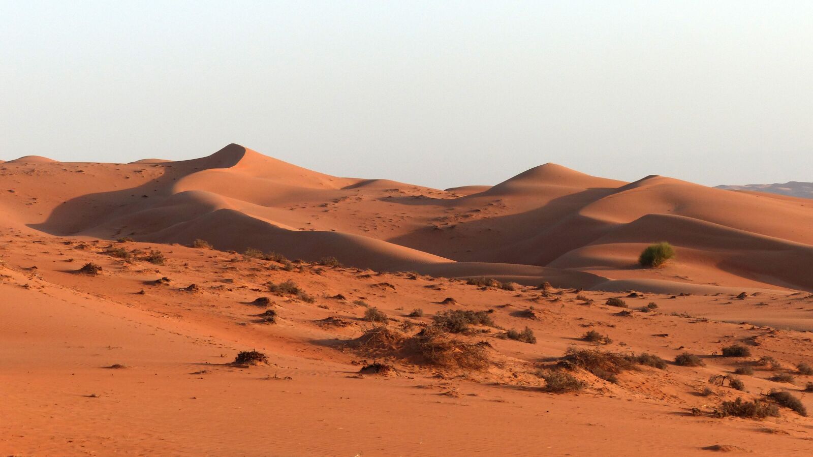 Panasonic Lumix DMC-FZ200 sample photo. Desert, dunes, dune photography