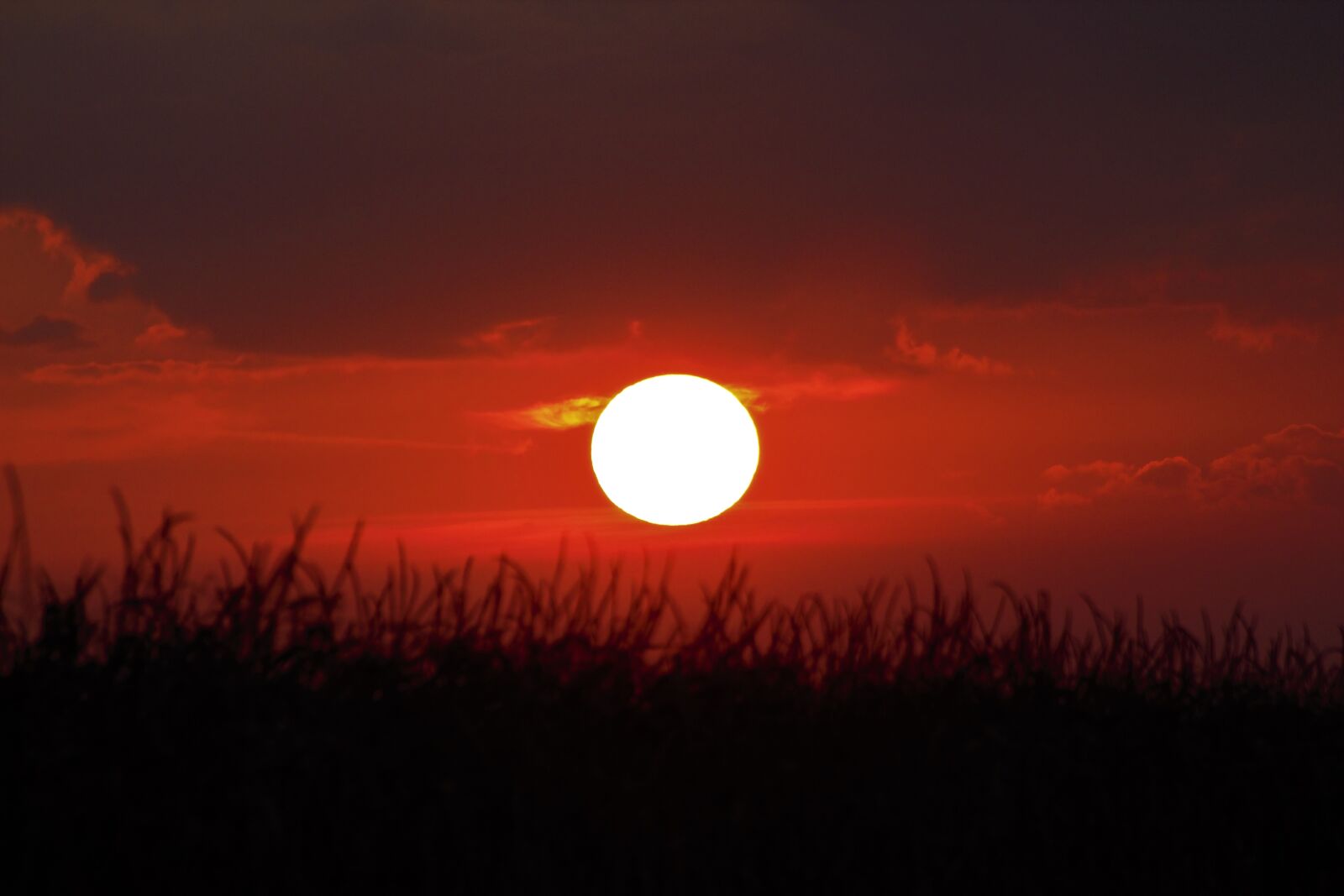 Canon EOS 650D (EOS Rebel T4i / EOS Kiss X6i) sample photo. Day s, sunrise, summer photography