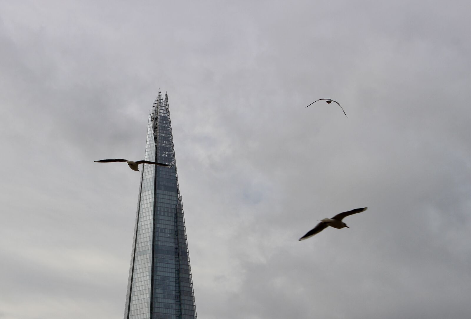Canon EOS 700D (EOS Rebel T5i / EOS Kiss X7i) sample photo. Tower, london, birds photography