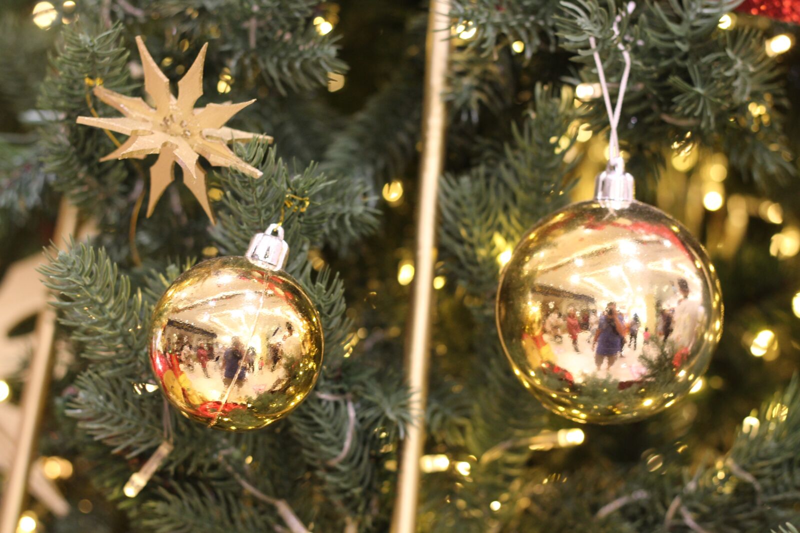 Canon EOS 1300D (EOS Rebel T6 / EOS Kiss X80) + Canon EF 50mm F1.8 STM sample photo. Holiday, christmas, xmas photography