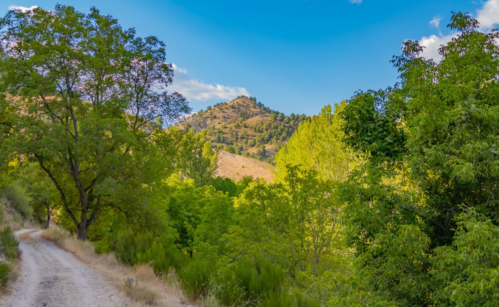 Panasonic DC-FZ10002 sample photo. Mountains, nature, landscape photography