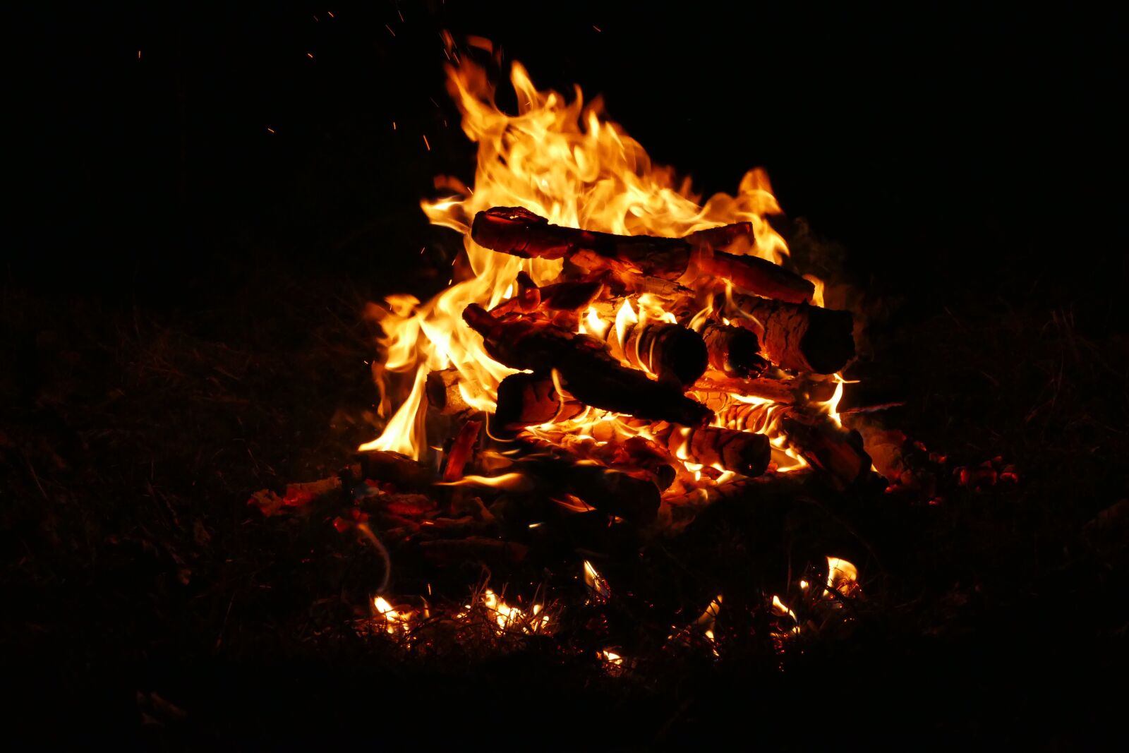 Panasonic Lumix DMC-FZ1000 sample photo. Fire, the flames, bonfire photography