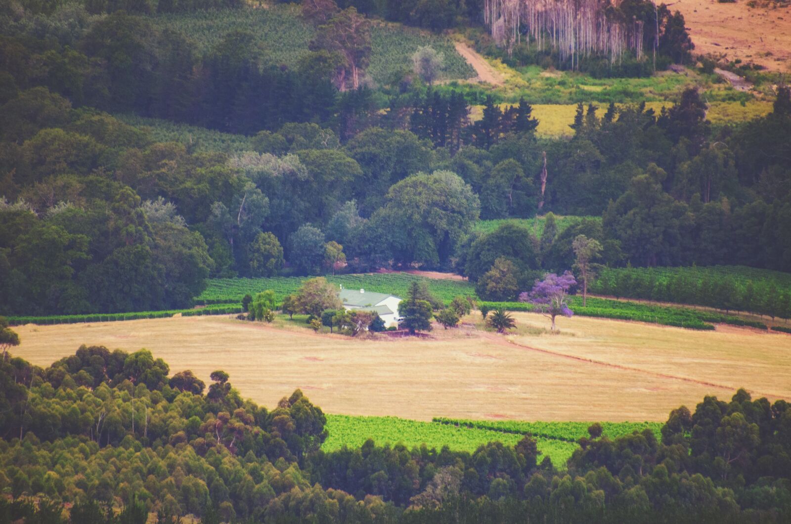 Nikon D7000 sample photo. Field, landscape, house photography