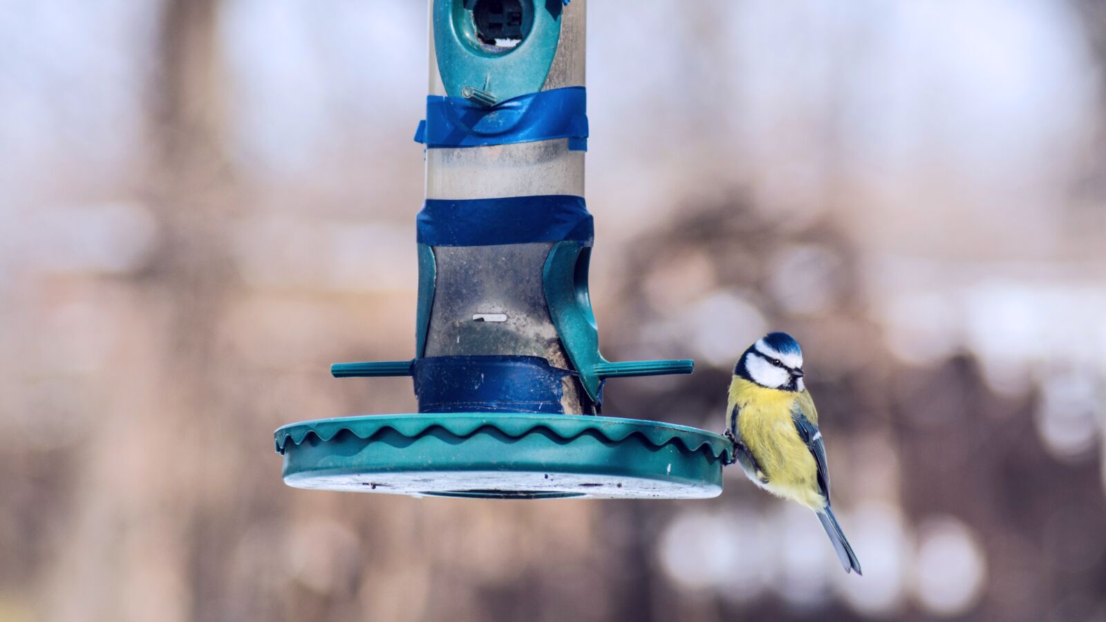 Nikon D7100 sample photo. Nature, outdoors photography