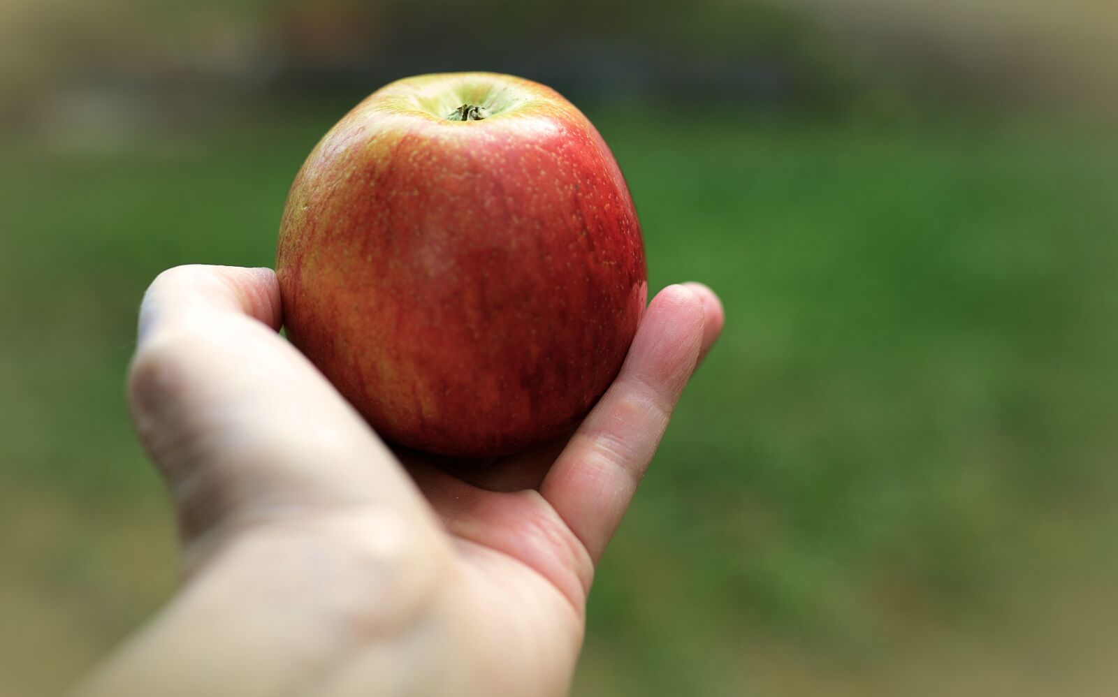 Nikon D610 sample photo. Apple, fruit, hand photography
