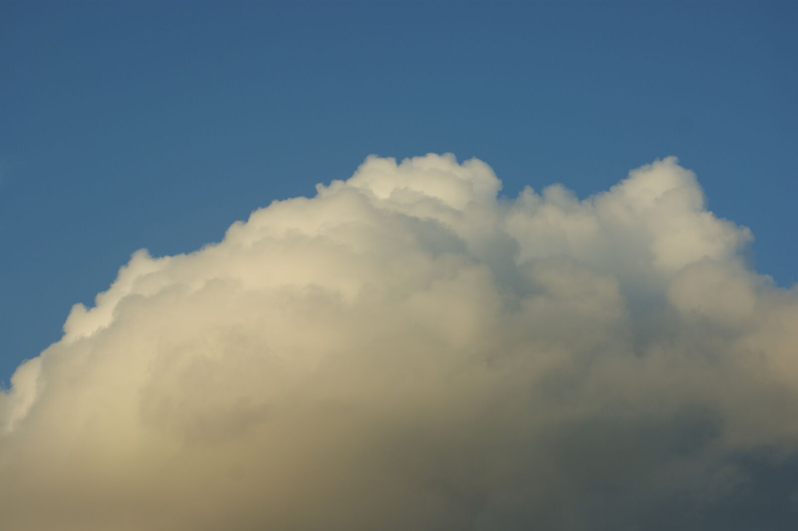 Sony Alpha DSLR-A390 sample photo