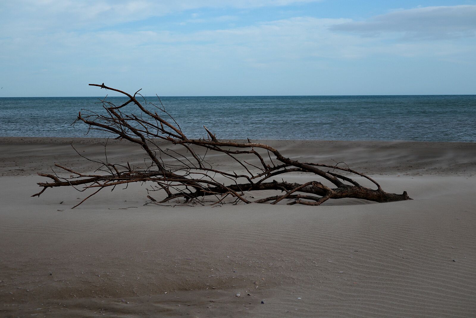 Canon PowerShot G1 X Mark III sample photo. Nature, ocean, beach photography
