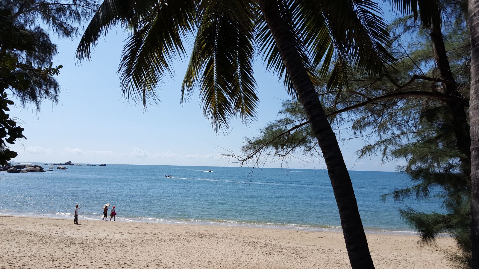 Samsung Galaxy S6 sample photo. Coconut trees, sanya, beach photography