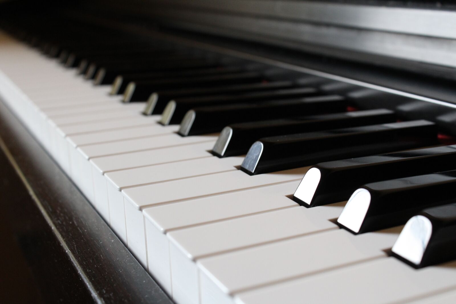 Canon EOS 1200D (EOS Rebel T5 / EOS Kiss X70 / EOS Hi) sample photo. Piano, ivory, ebony photography