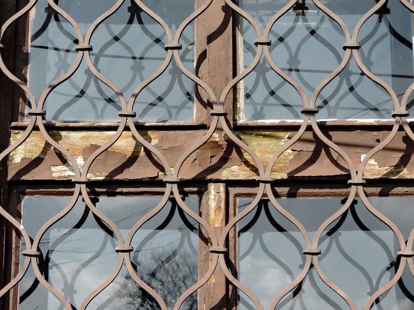 Nikon Coolpix P520 sample photo. Barrier, design, wall, iron photography