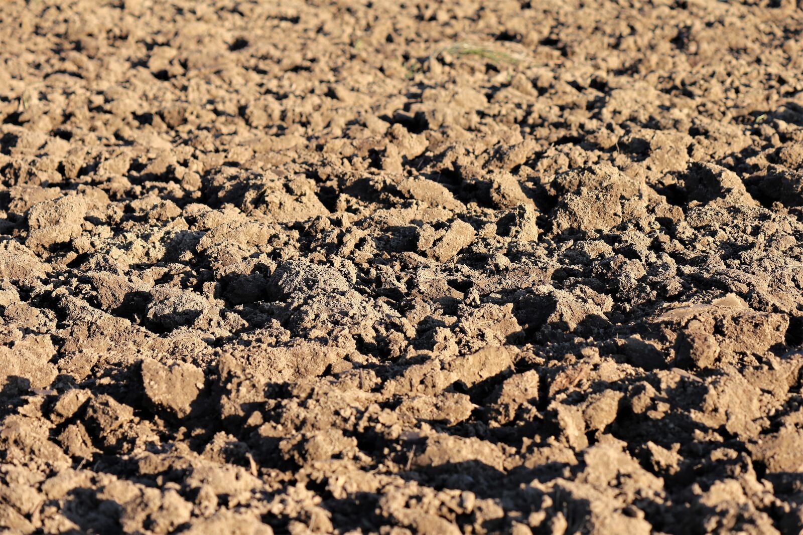 Canon EOS 6D sample photo. Plowed earth, soil, brown photography