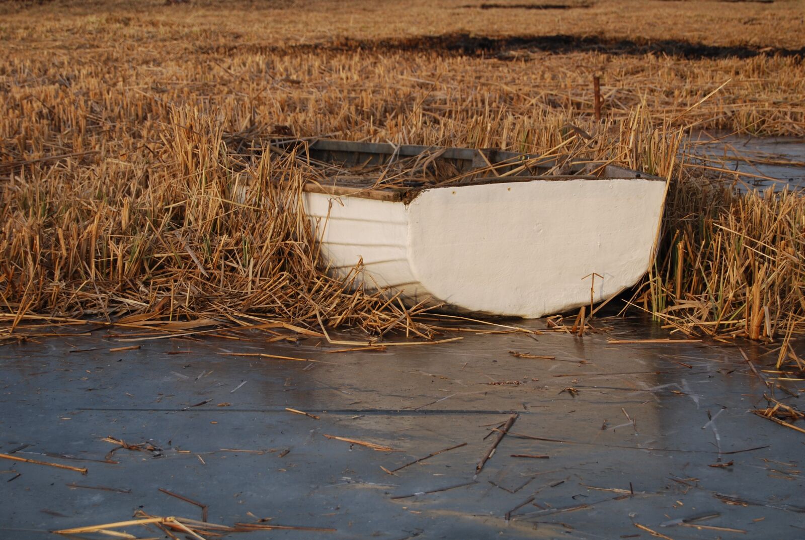 Nikon D40X sample photo. Ship, lake balaton, froze photography