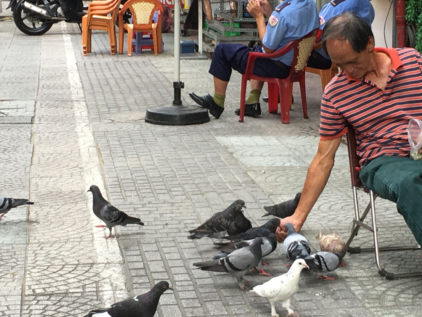 Apple iPhone 6s sample photo. Peaceful, saigon, dove photography