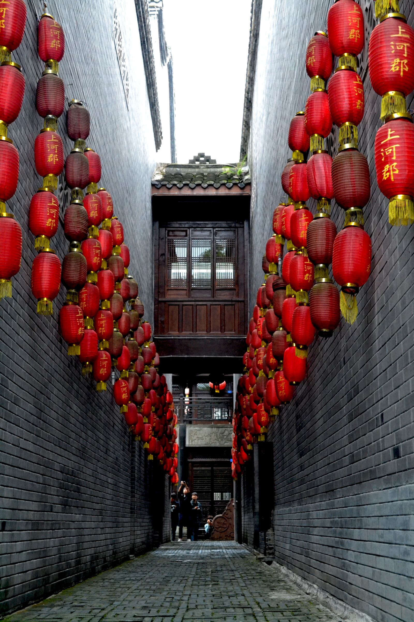 Nikon D3100 sample photo. The great china, lantern photography