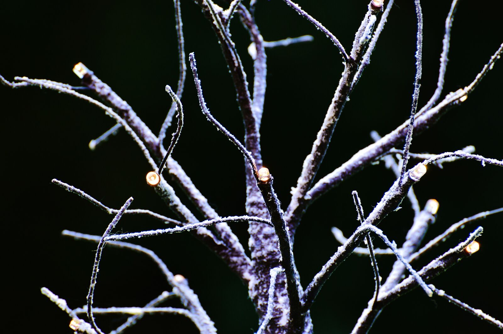 Nikon D3200 sample photo. Tree, aesthetic, winter photography